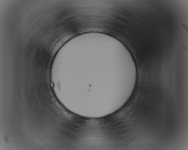 X0000103280898200809261223