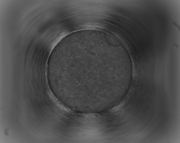 X0000103280899200809261223