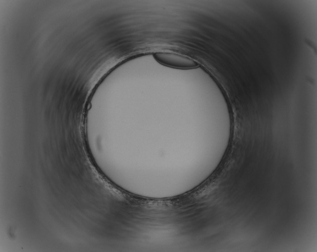 X0000103280901200809261223