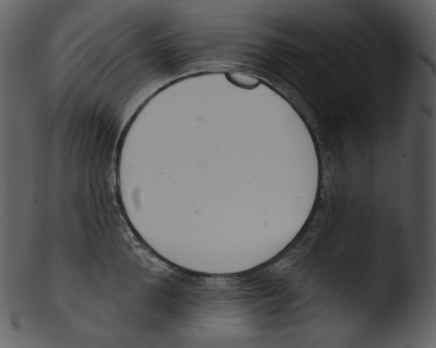 X0000103280904200809261223