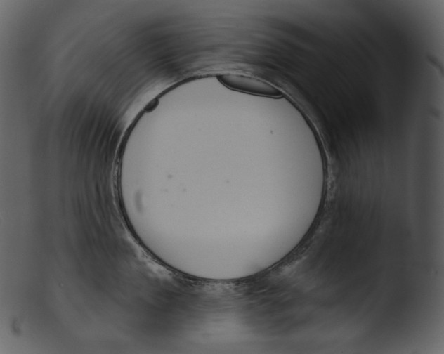 X0000103280909200809261223