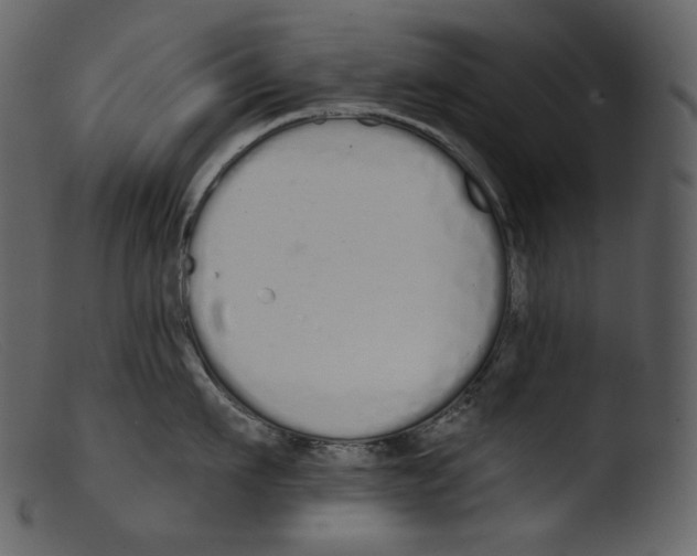 X0000103280911200809261223