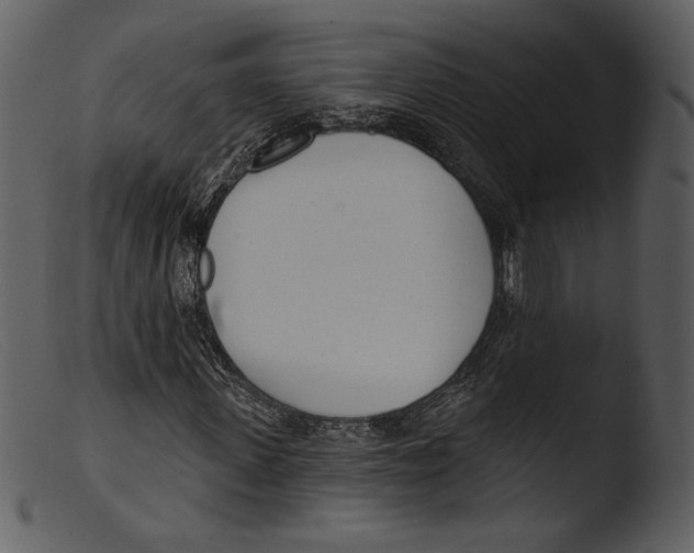 X0000103280915200809261222