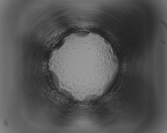 X0000103280917200809261222