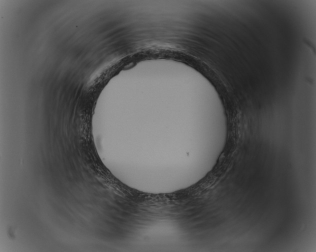 X0000103280919200809261222