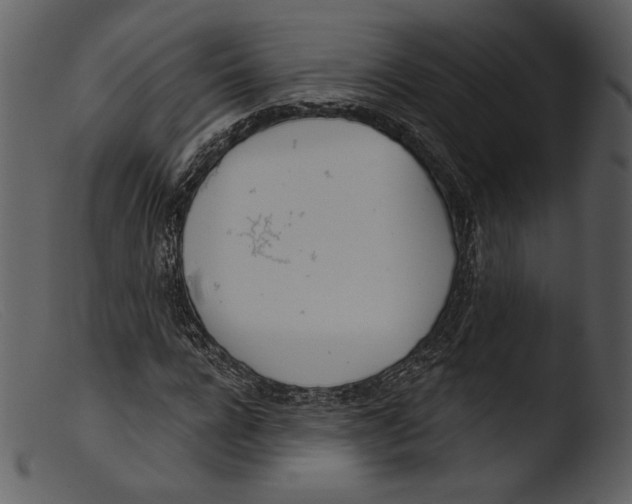 X0000103280920200809261222