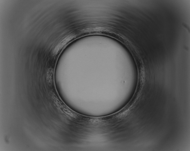 X0000103280921200809261222