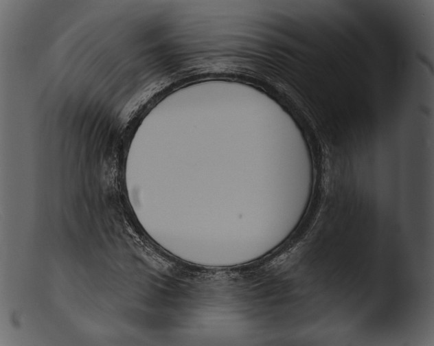 X0000103280922200809261222