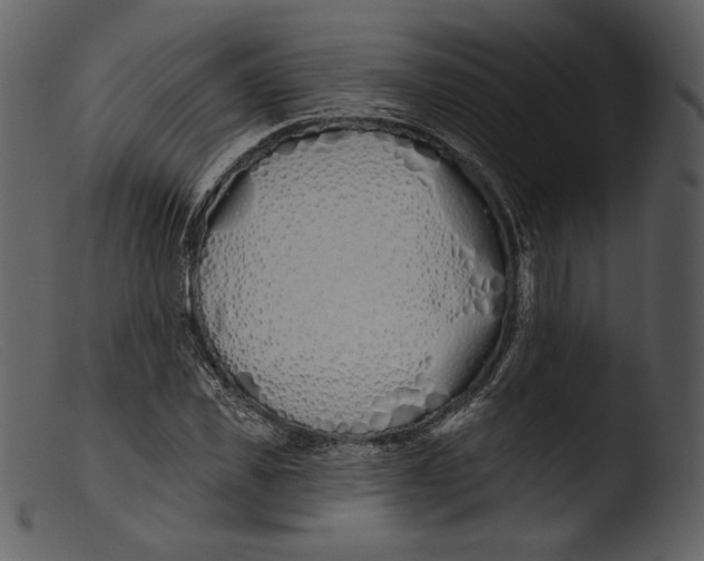 X0000103280925200809261222