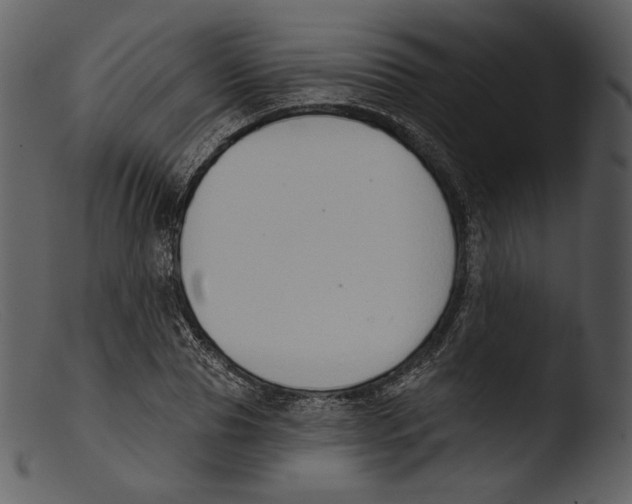 X0000103280929200809261222