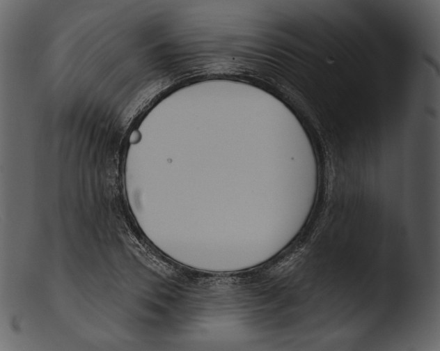 X0000103280930200809261222