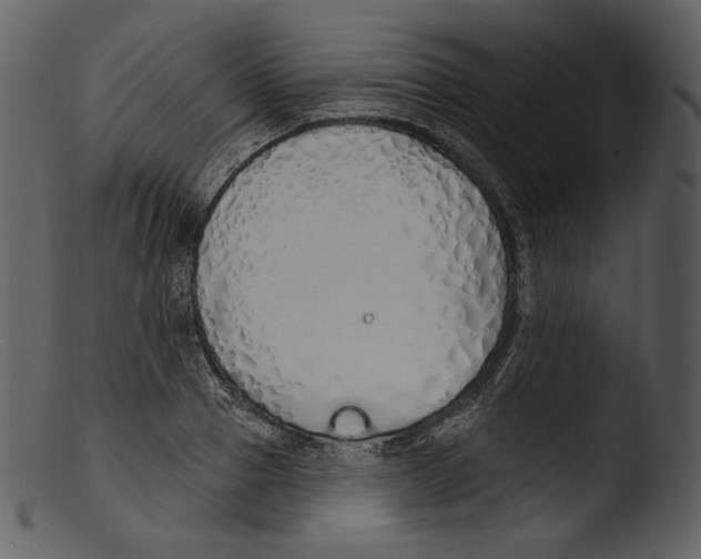 X0000103280937200809261222