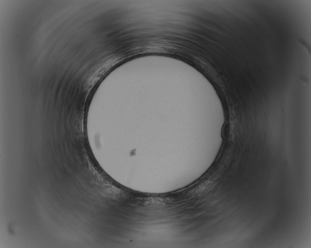 X0000103280938200809261222