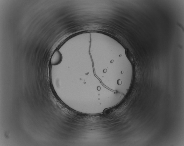 X0000103280939200809261222