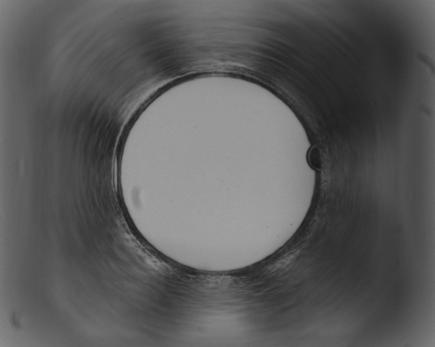 X0000103280940200809261222