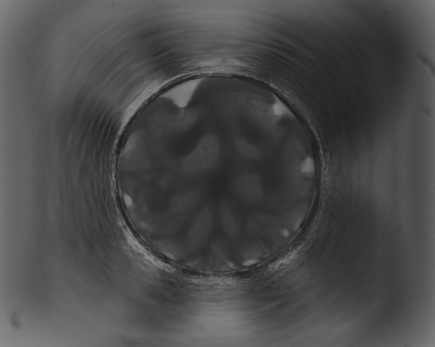 X0000103280941200809261222