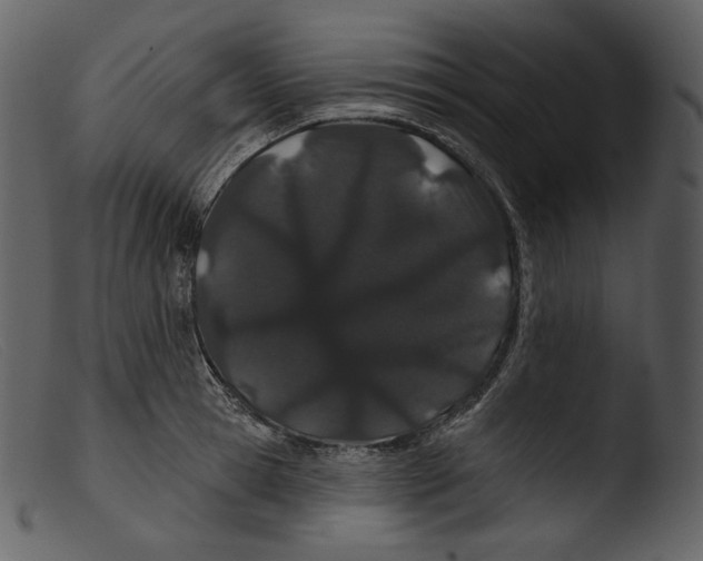 X0000103280945200809261222