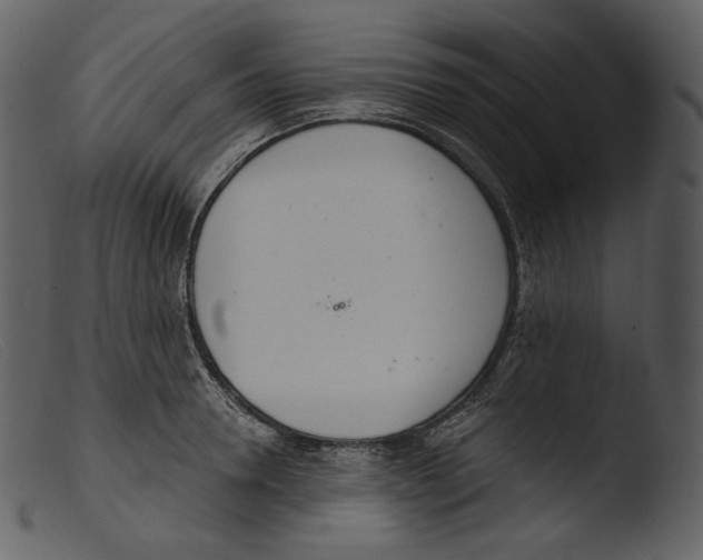 X0000103280946200809261222