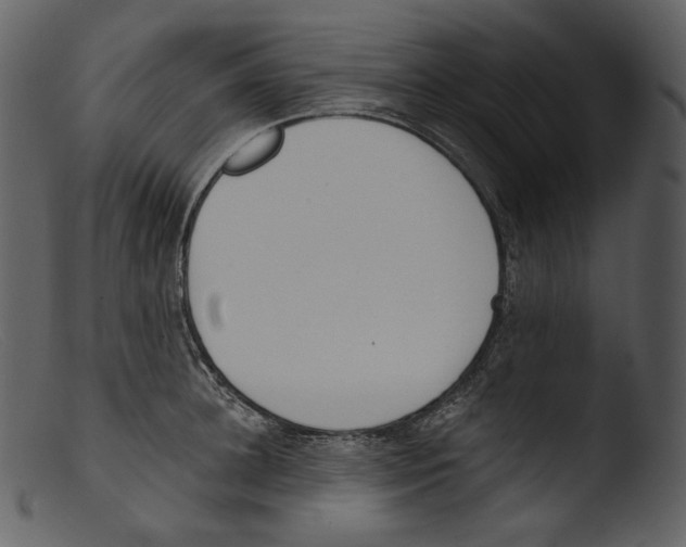 X0000103280948200809261222