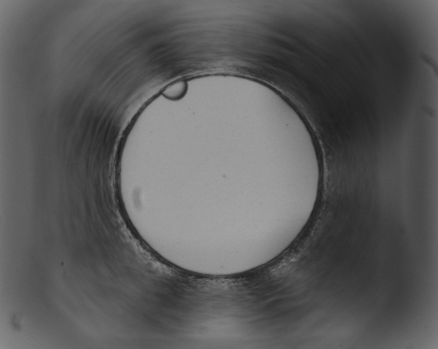 X0000103280949200809261222