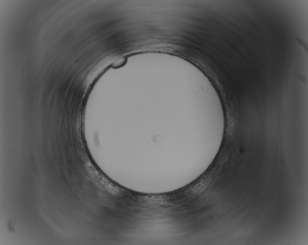 X0000103280952200809261223