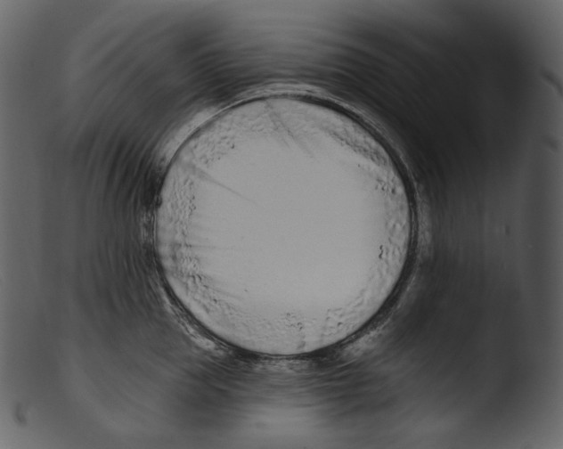 X0000103280953200809261223