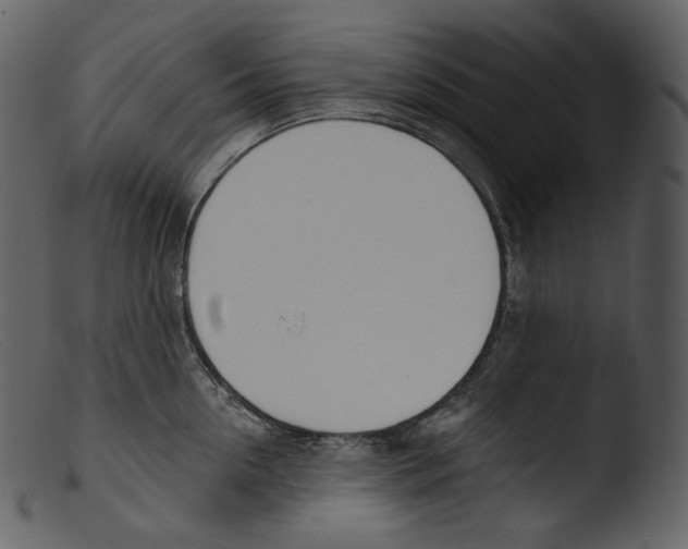 X0000103280954200809261223