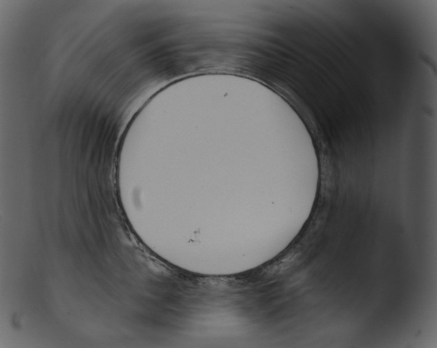 X0000103280956200809261223