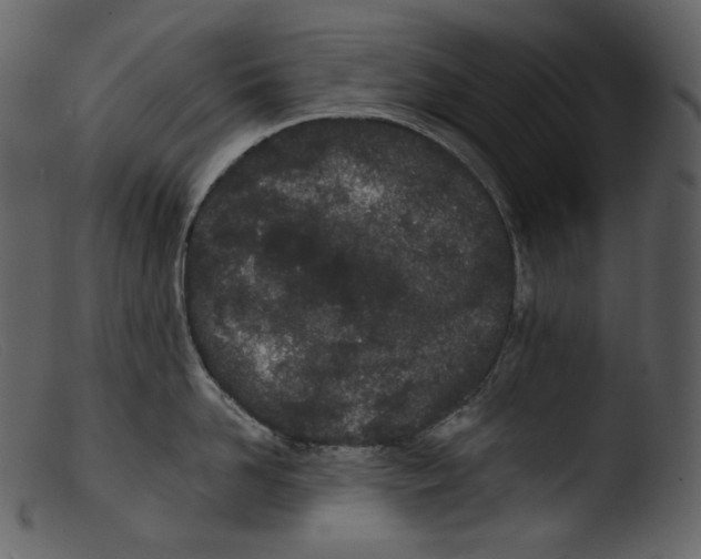 X0000103280958200809261223