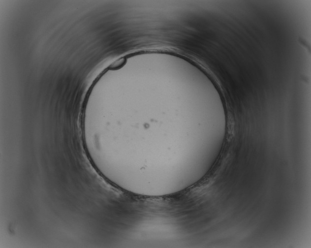 X0000103280959200809261223