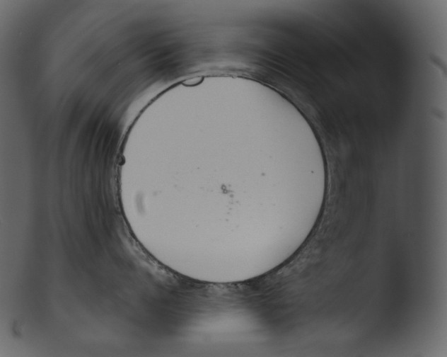 X0000103280960200809261223