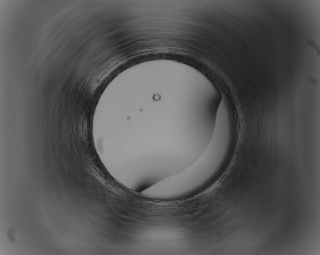 X0000103280969200809261222