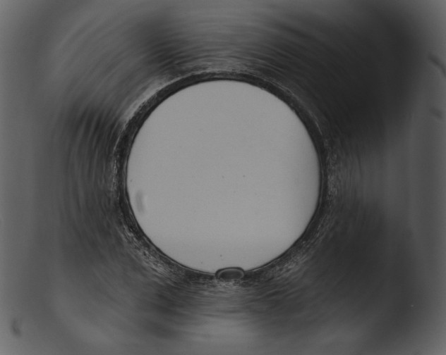 X0000103280975200809261222