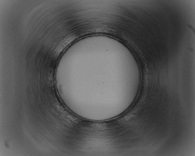 X0000103280977200809261222