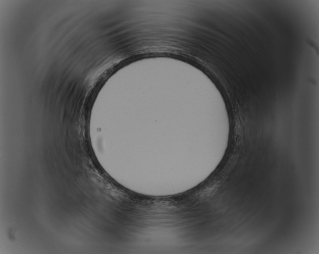 X0000103280979200809261222