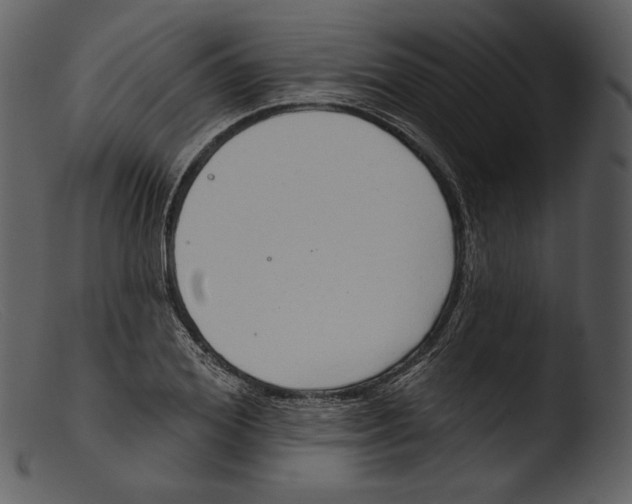 X0000103280980200809261222