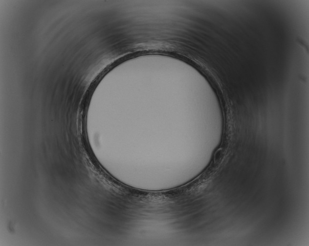 X0000103280983200809261222