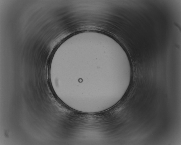 X0000103280987200809261221