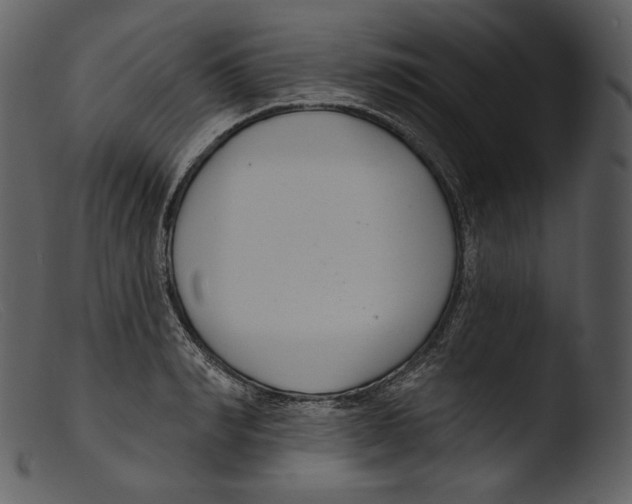 X0000103280990200809261221