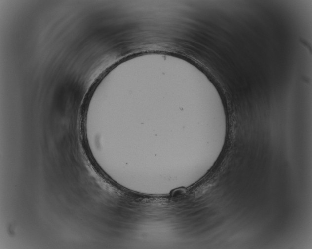 X0000103280991200809261221