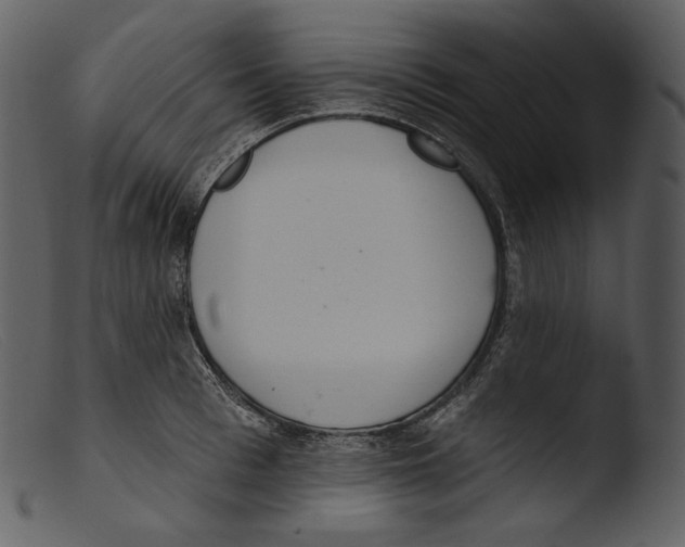 X0000103280993200809261221