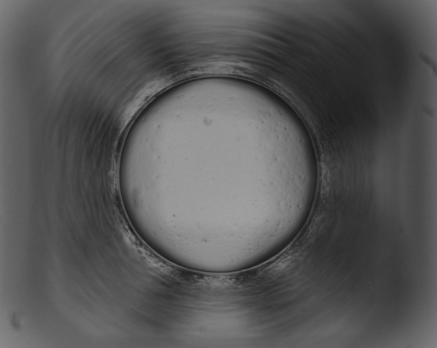 X0000103280994200809261221