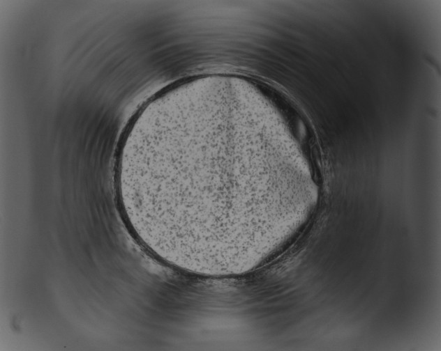 X0000103280995200809261221