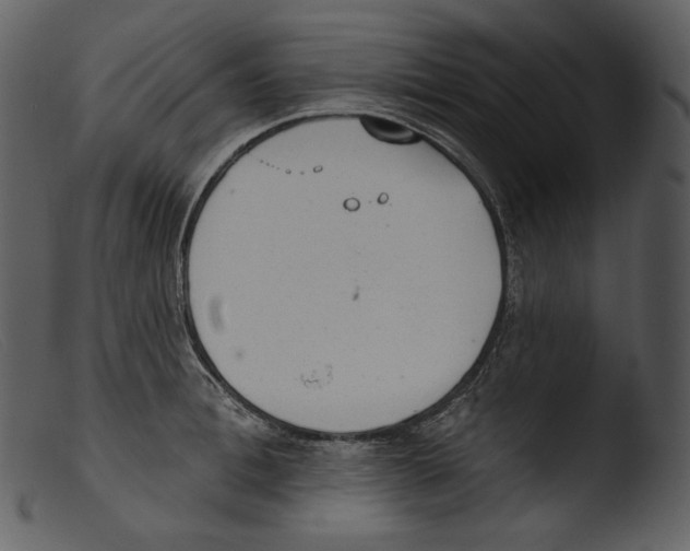 X0000103280996200809261221