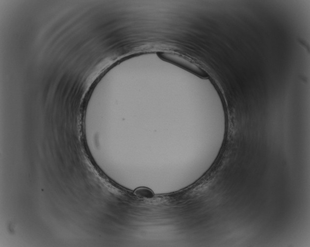 X0000103280997200809261221