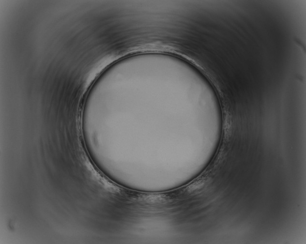 X0000103280998200809261221