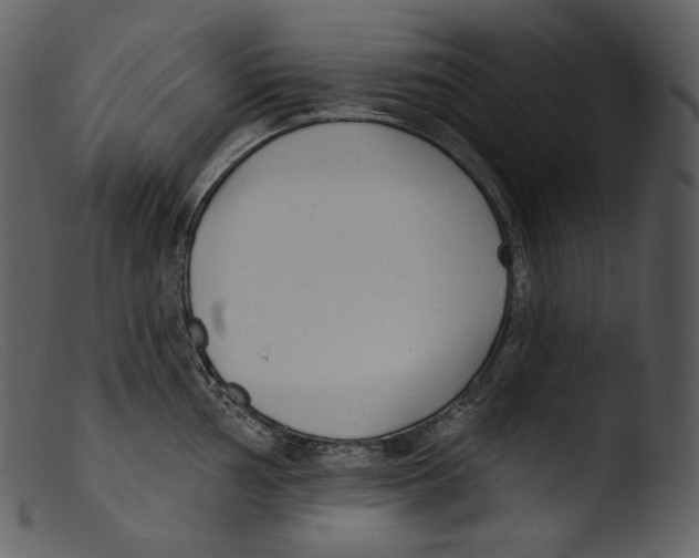 X0000103281002200809261221