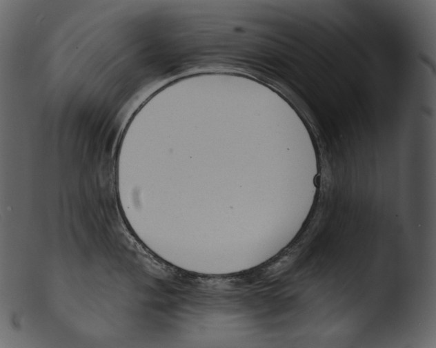 X0000103281004200809261221