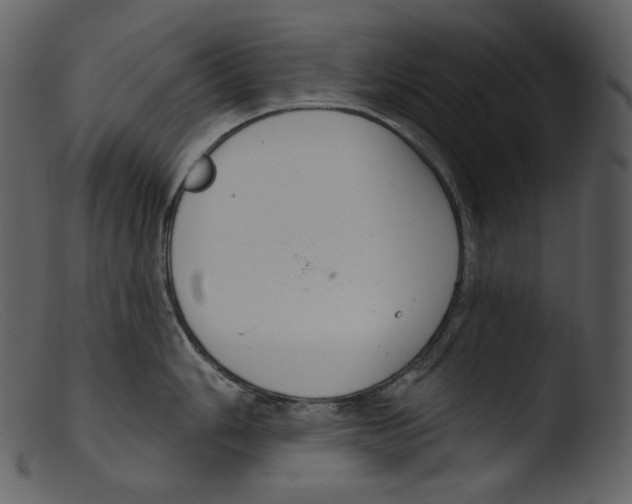 X0000103281006200809261221