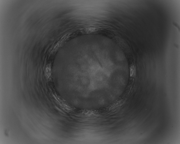 X0000103281011200809261220